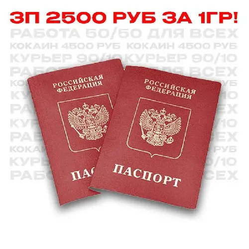 Загранпаспорт